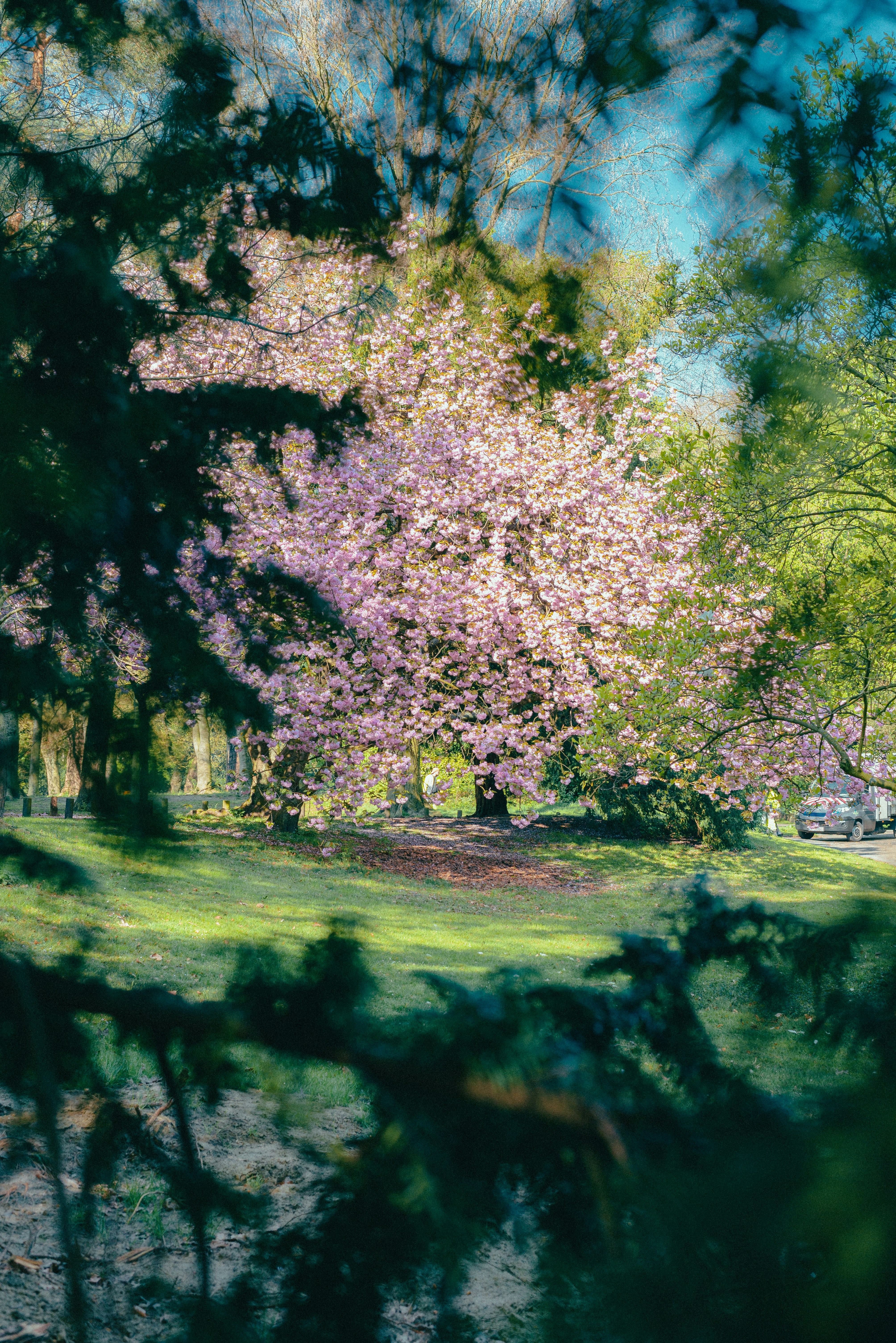 Photo by ricovandevoorde