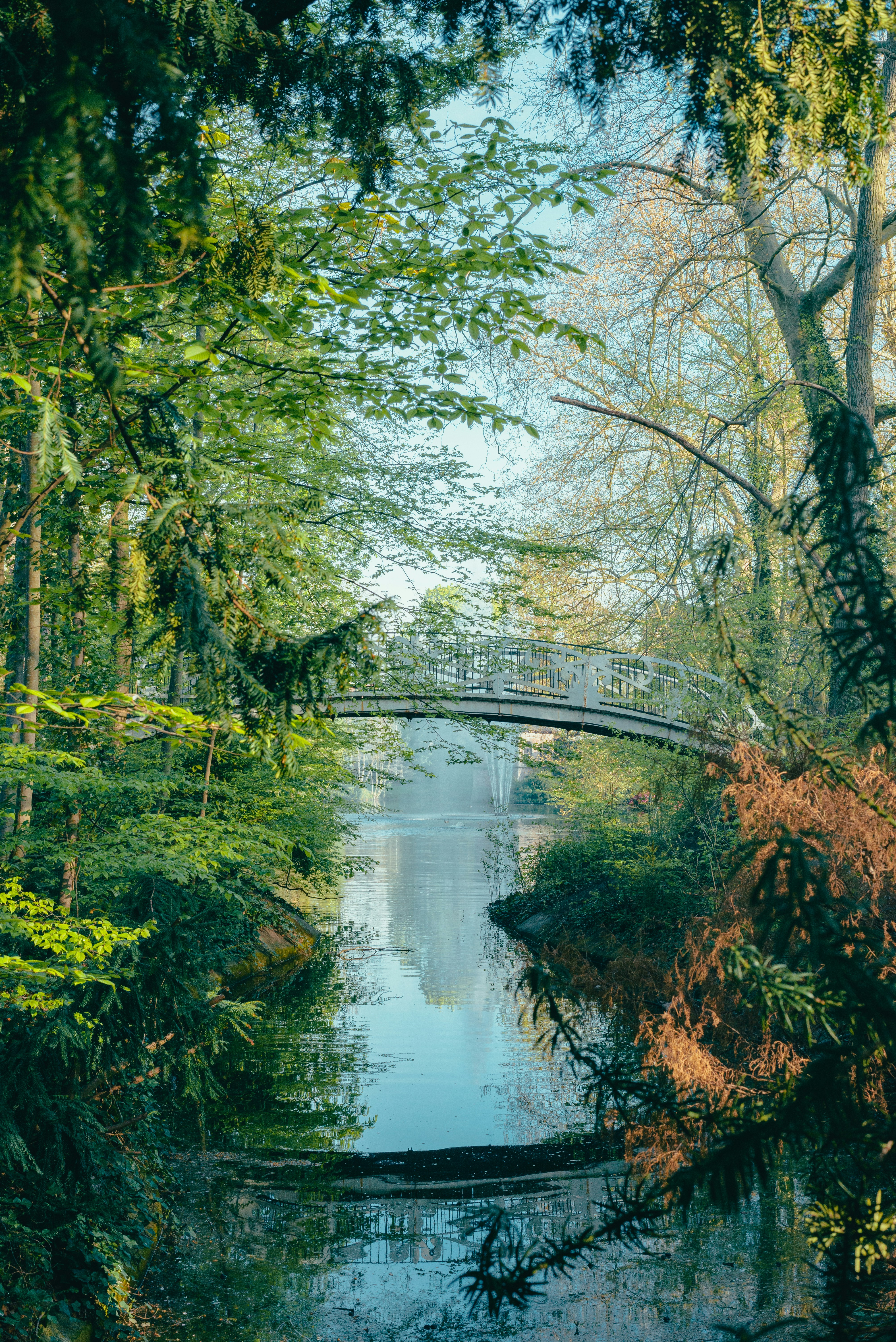 Photo by ricovandevoorde