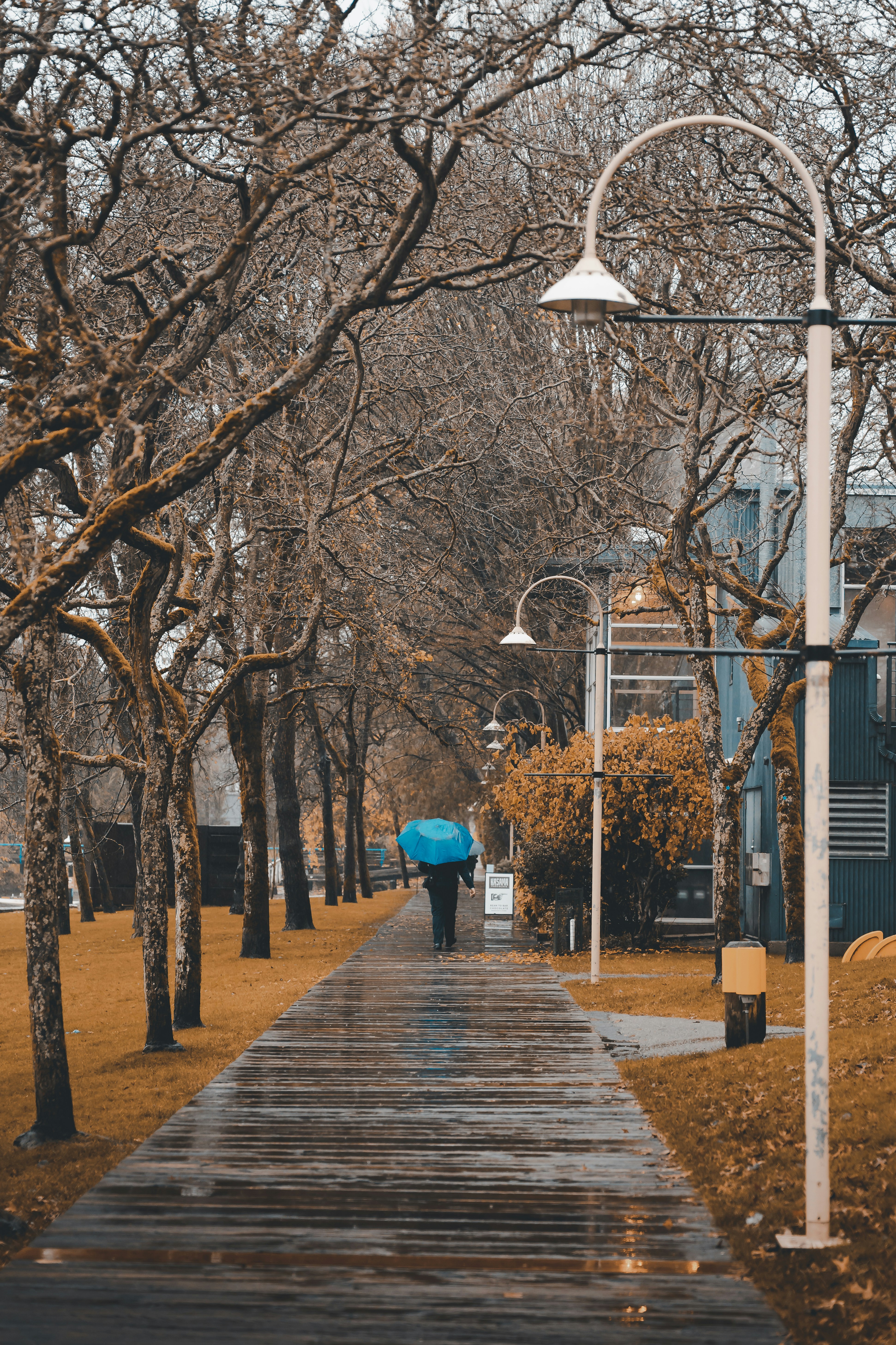 Photo by willianjusten