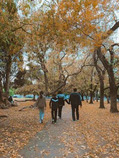 Gema guiding a small group outdoors, surrounded by autumn leaves in Breitenau.
