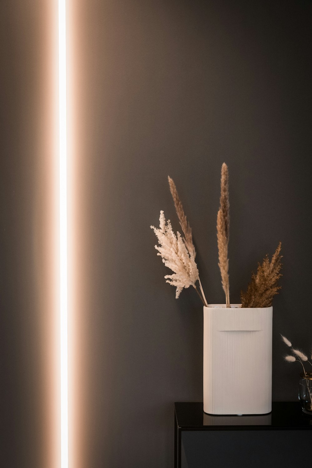 a plant in a white vase on a black table