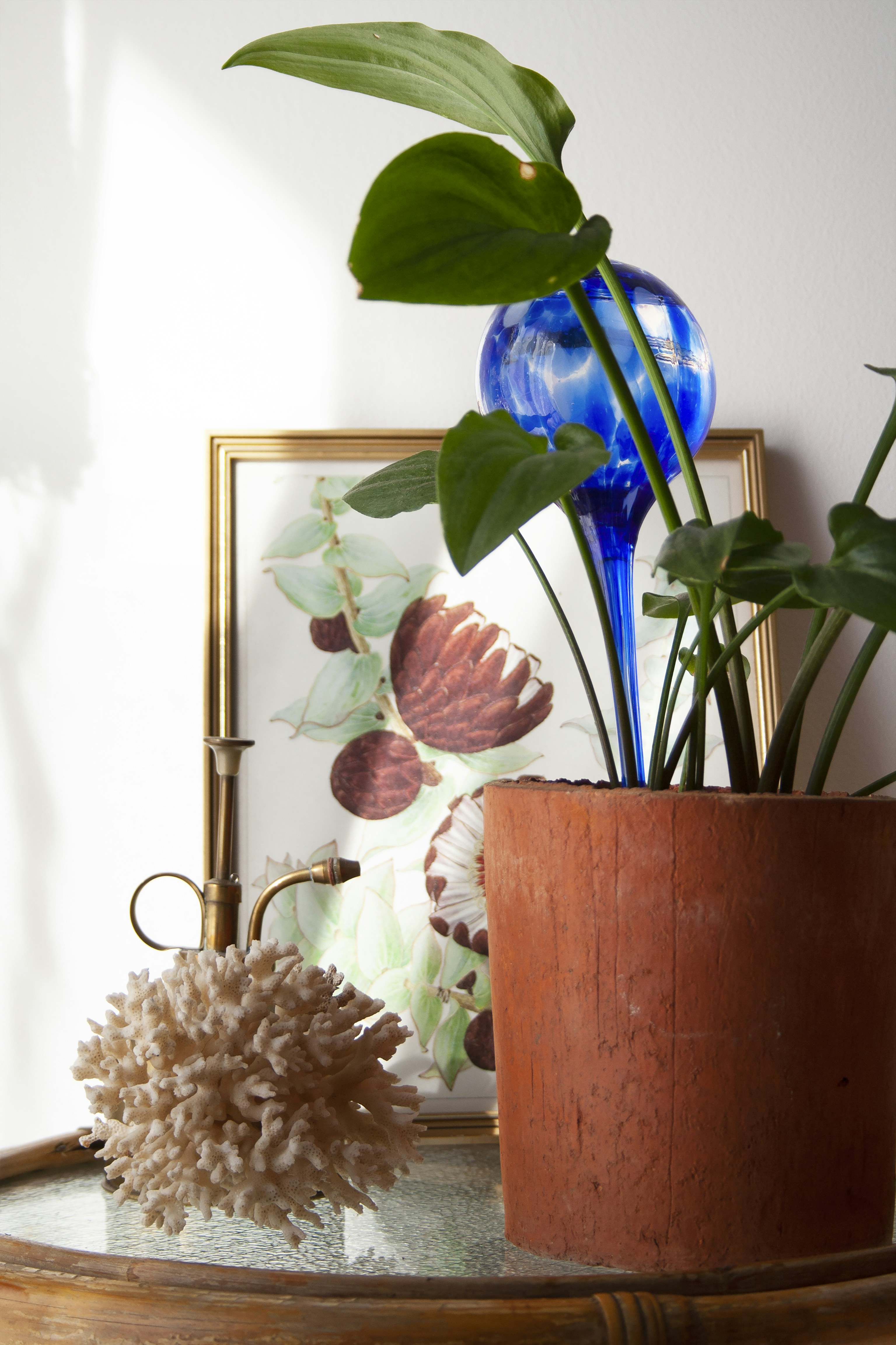 Photo by amy_harrison