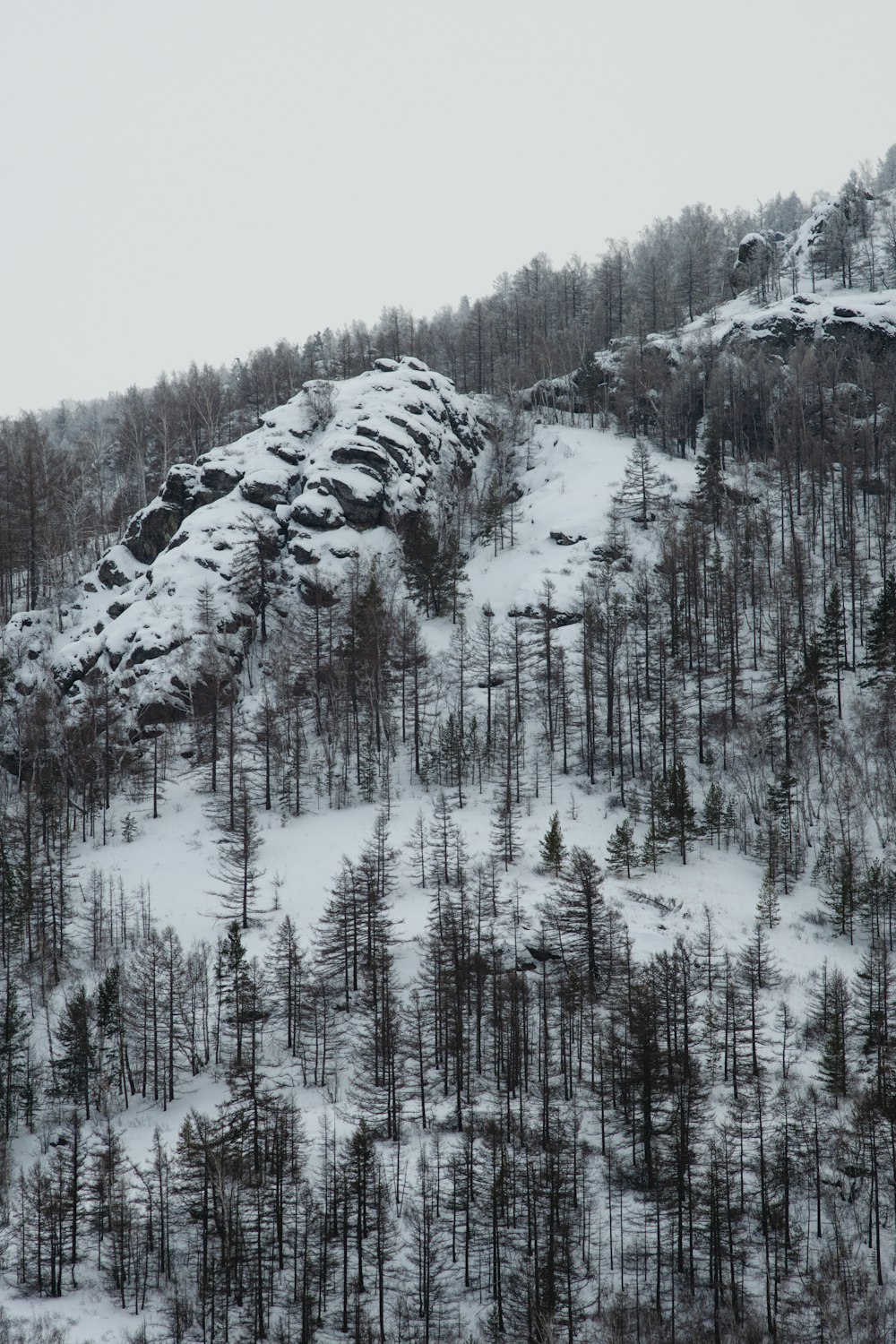 a snow covered mountain with trees on the side