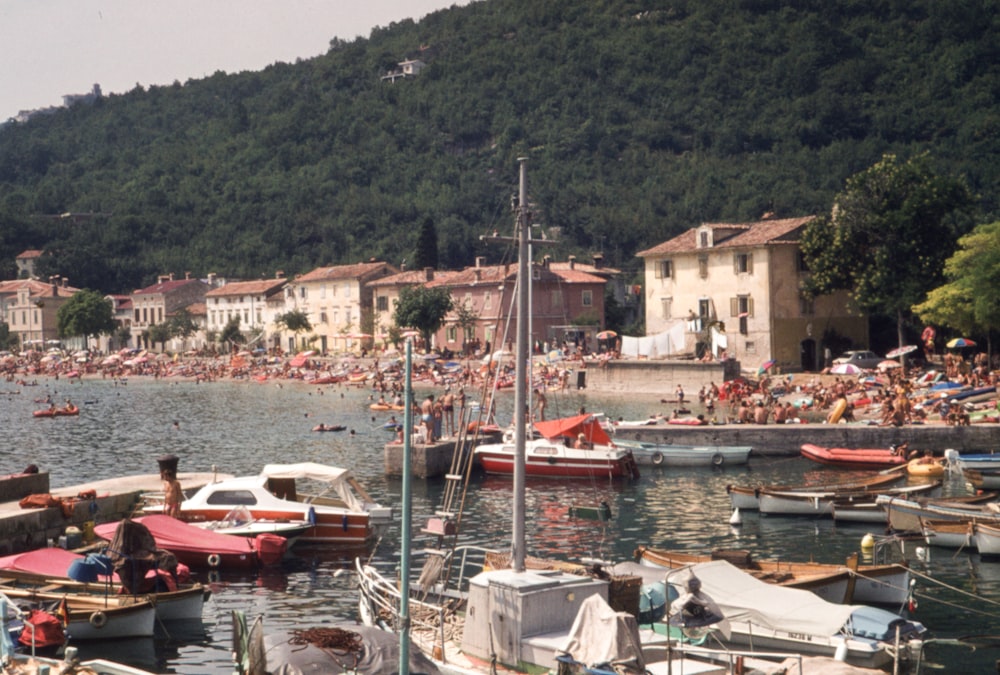 a harbor filled with lots of boats and lots of people