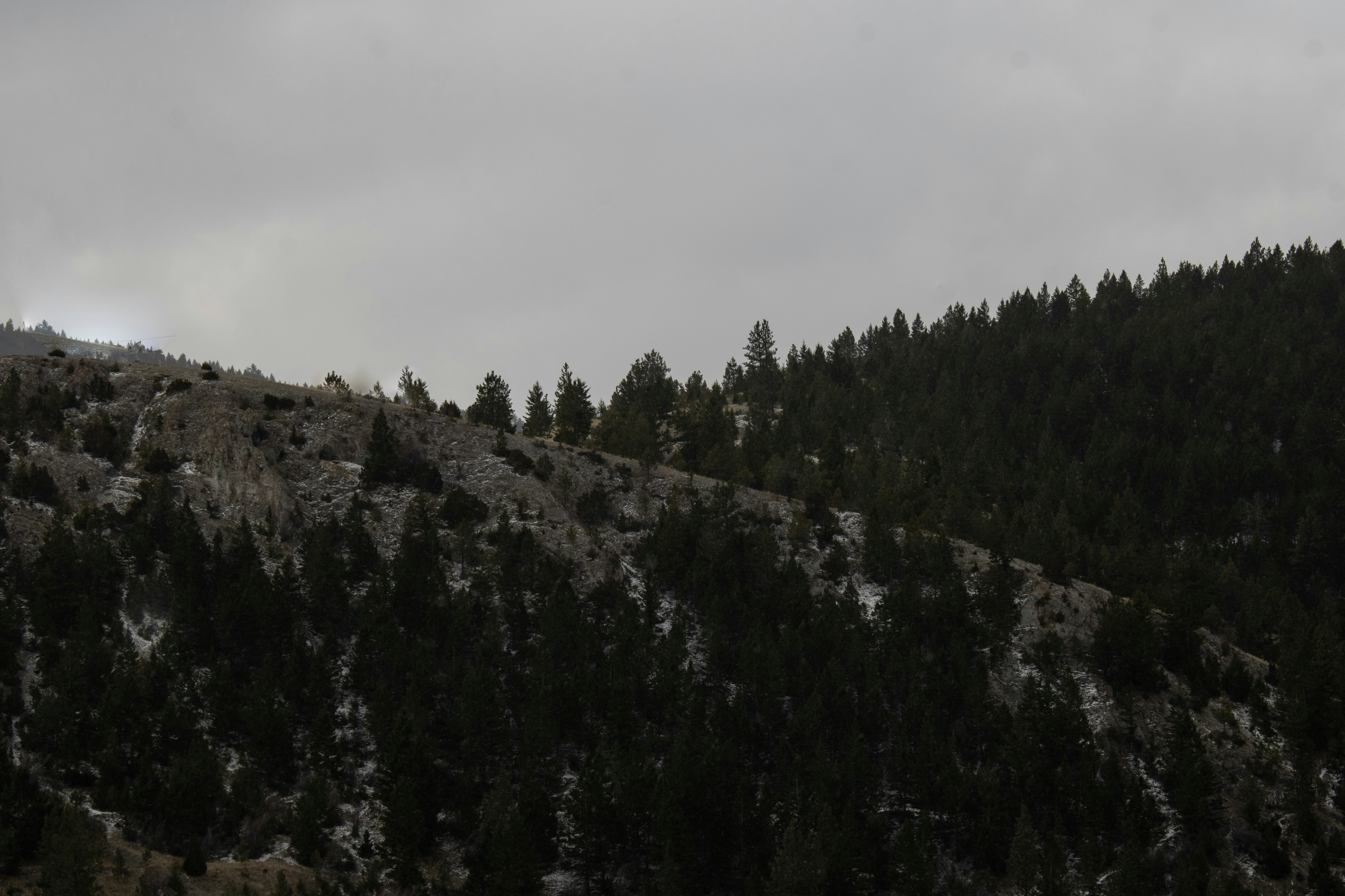 Photo by ingenious0range