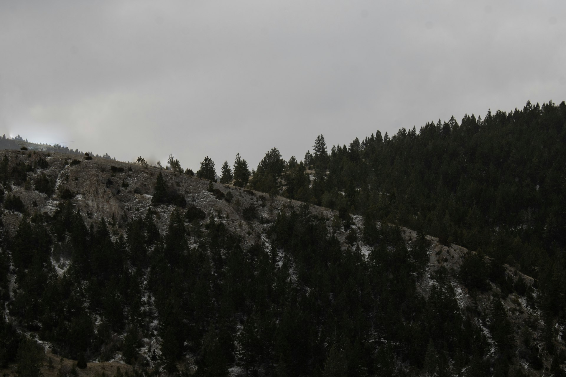 a mountain covered in snow and trees under a cloudy sky