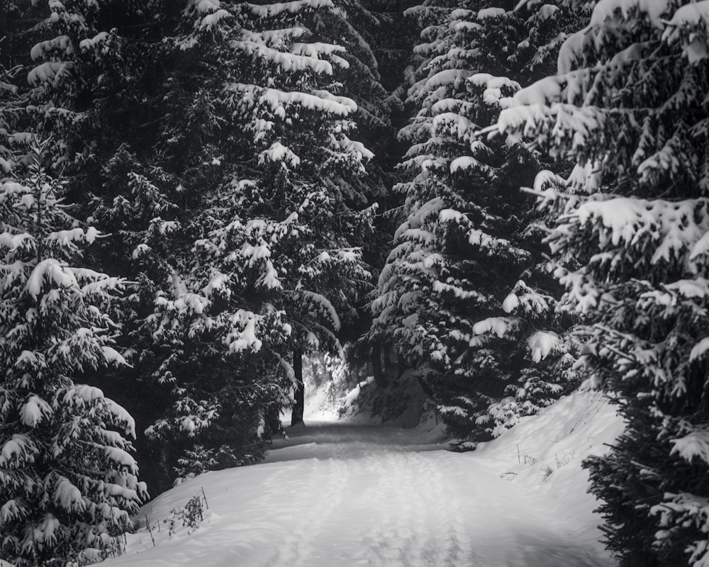 a person riding skis down a snow covered slope