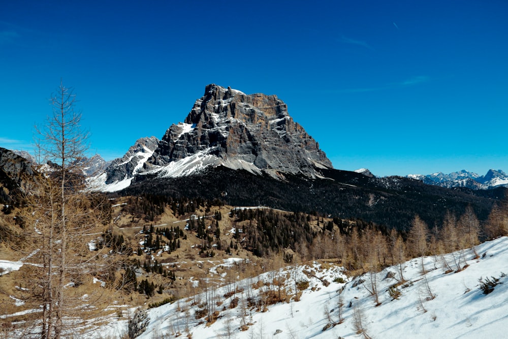 a snow covered mountain with a few trees in the foreground