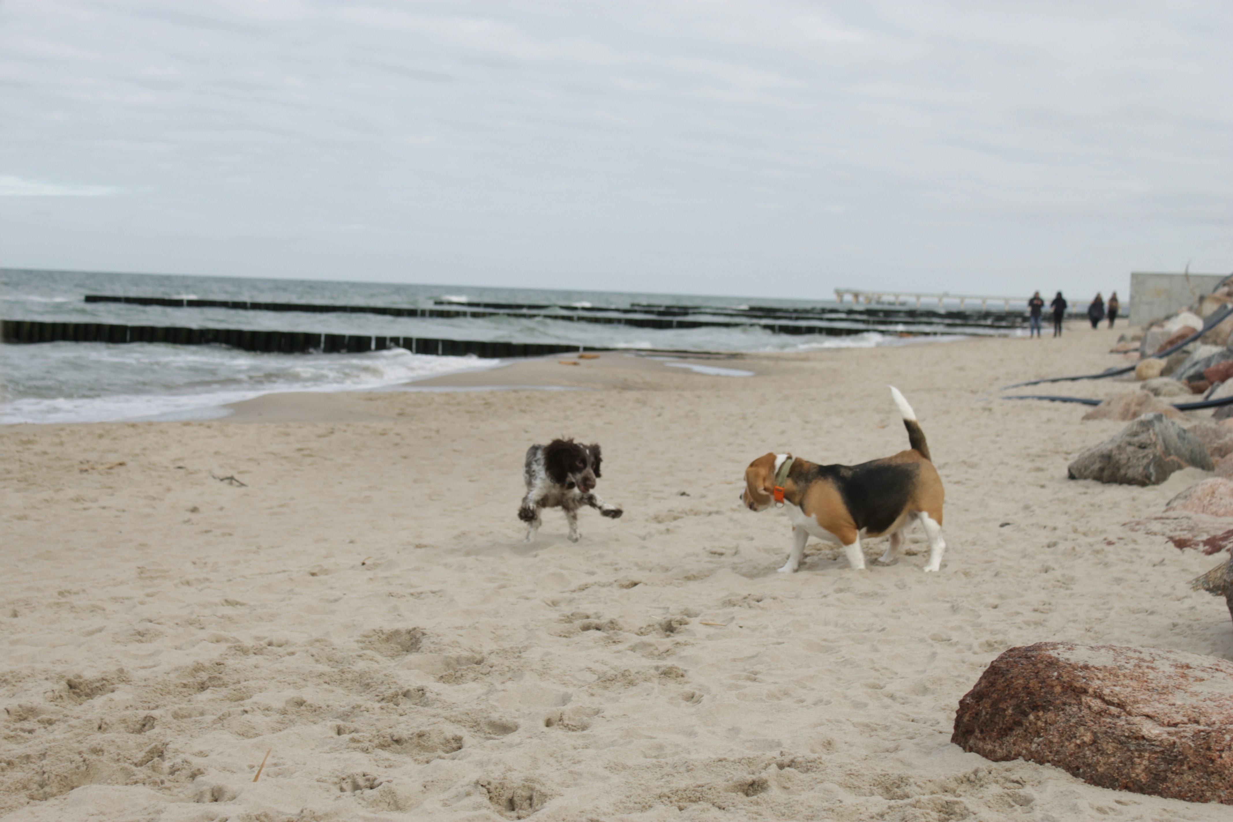 Photo by kolosovskiy