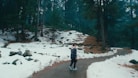 a person standing on a snowy path in the woods