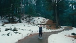 a person standing on a snowy path in the woods