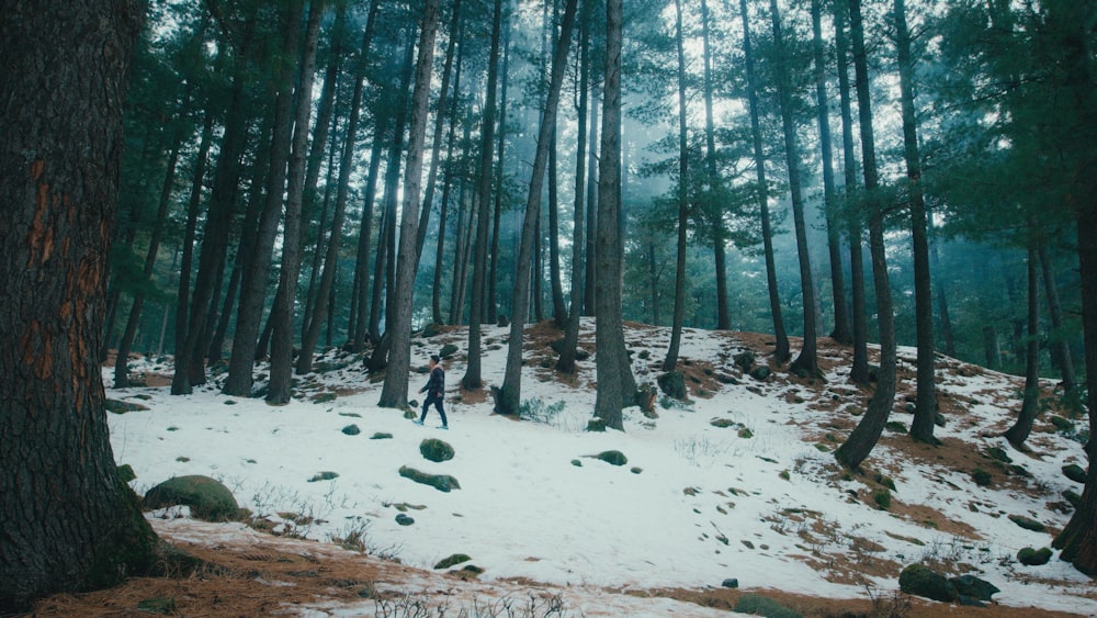 a person walking through a snowy forest