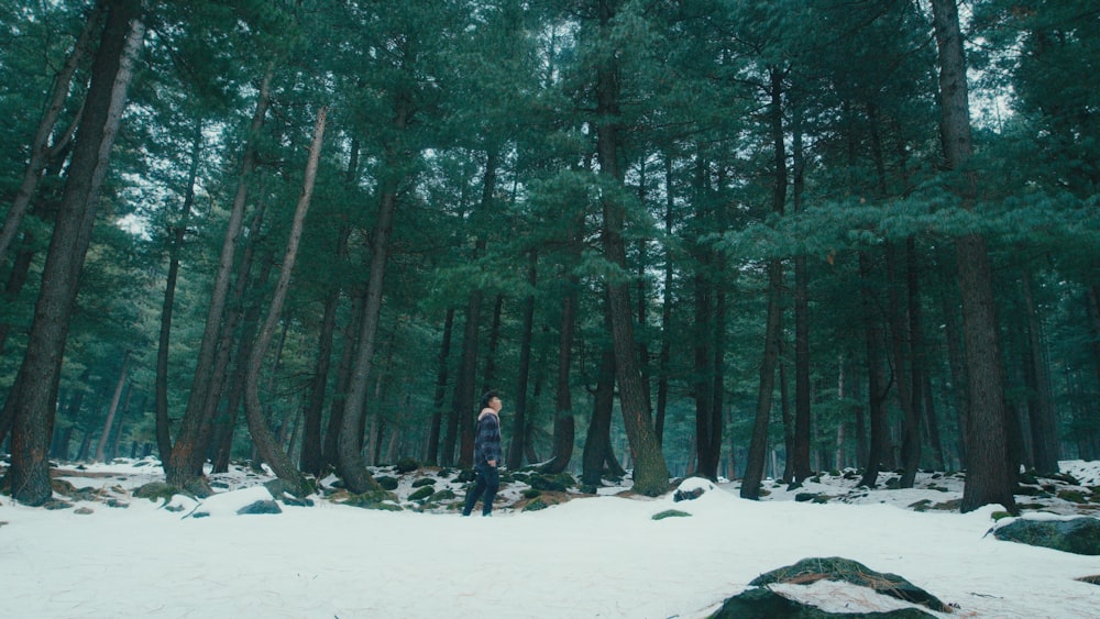 a person standing in the middle of a forest