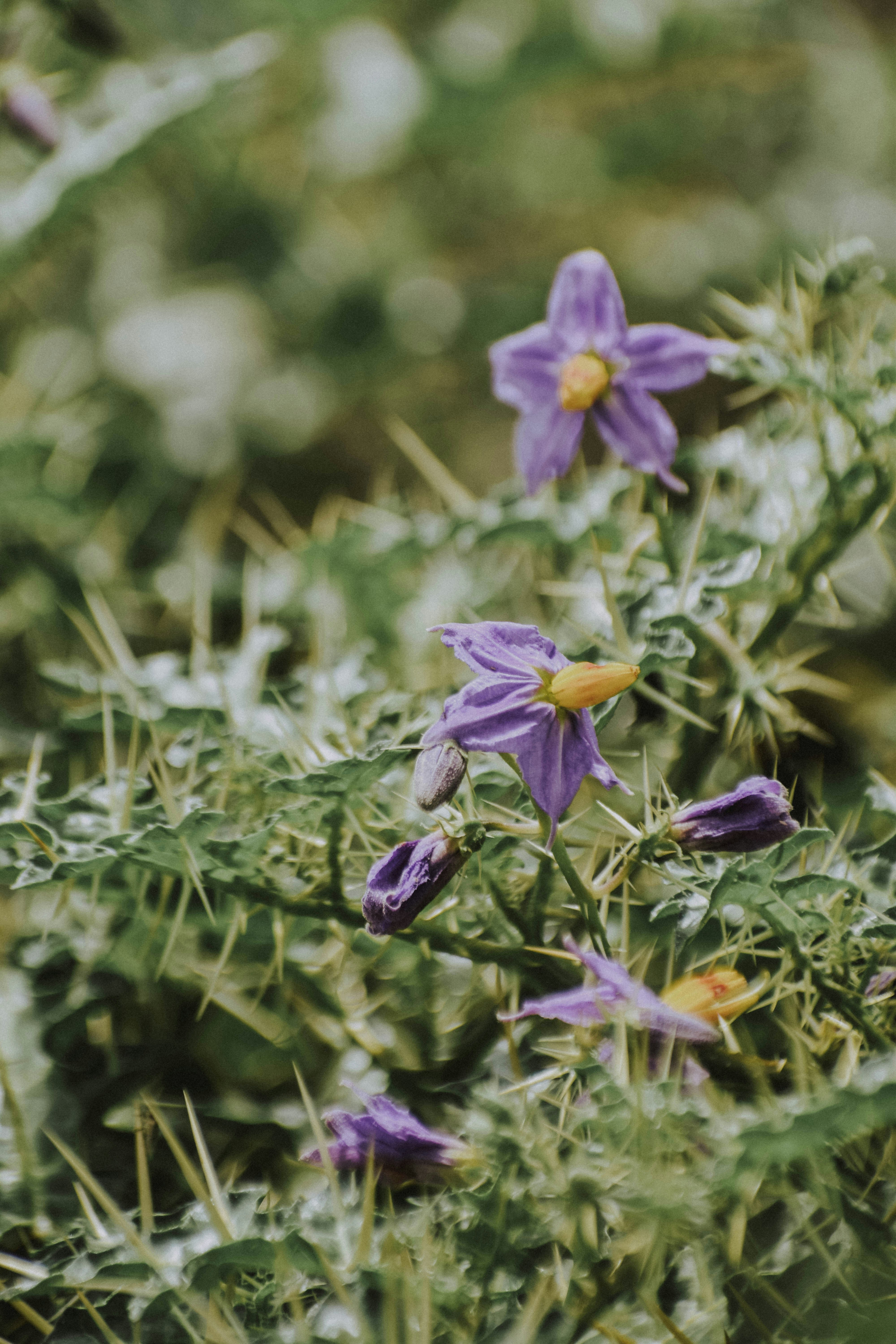 Photo by navi_photography