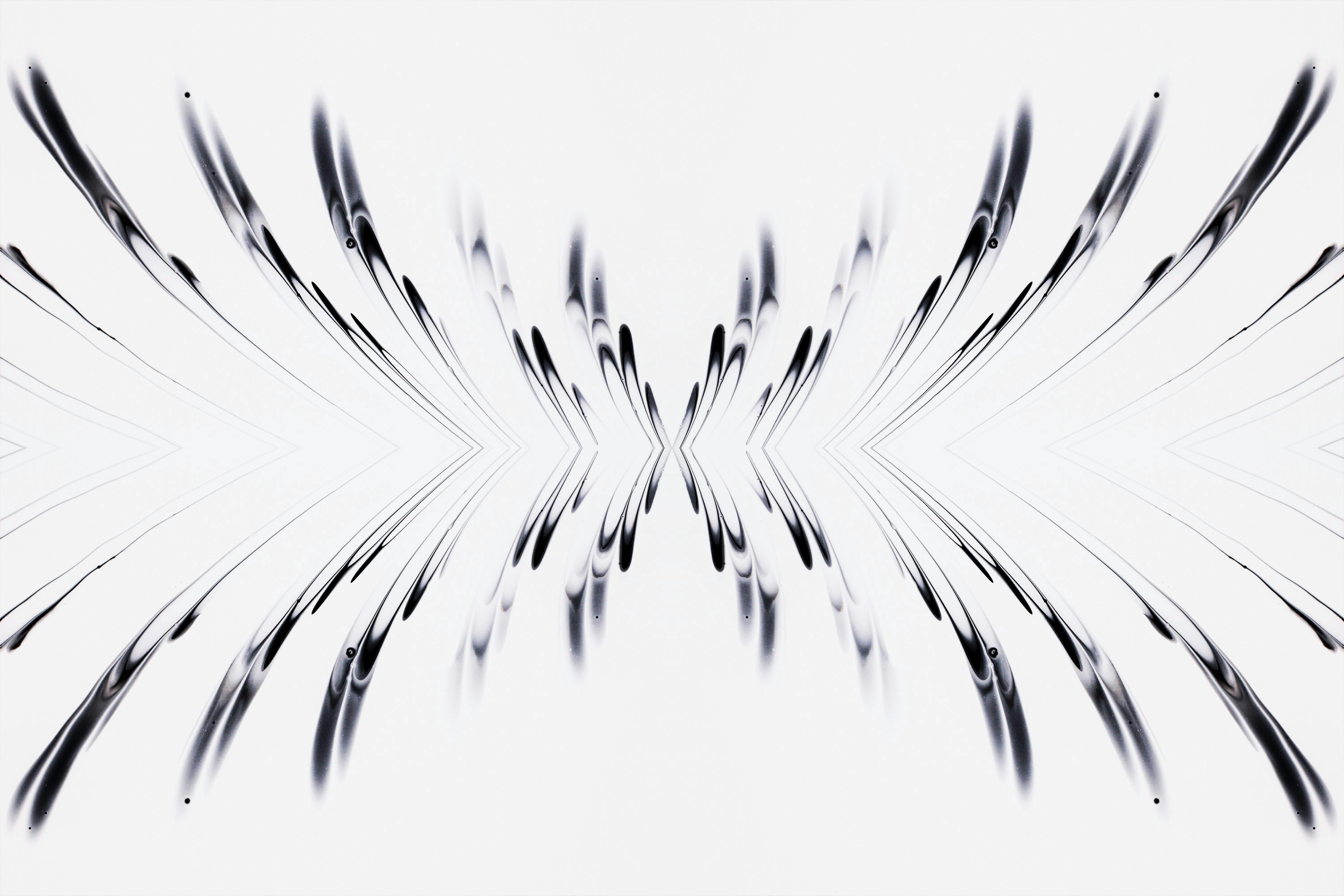 Photo by susan_wilkinson