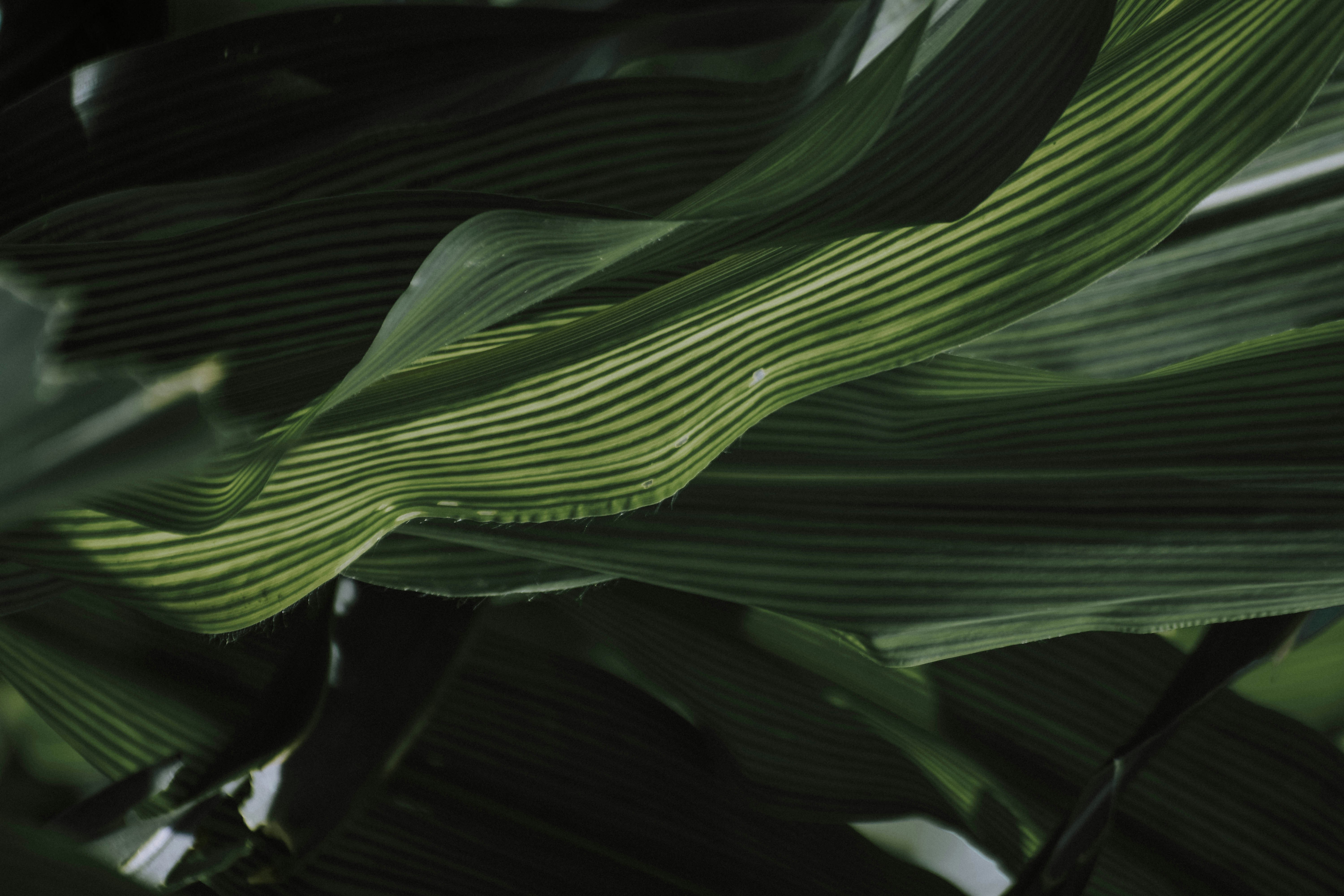 Photo by navi_photography