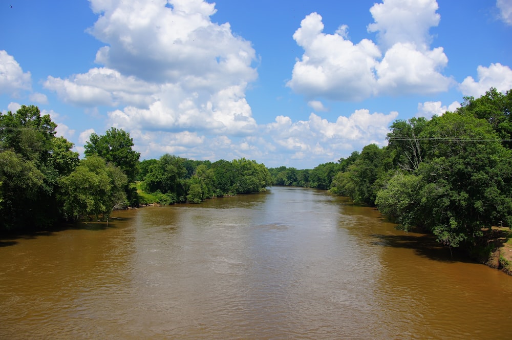 a body of water surrounded by trees and clouds