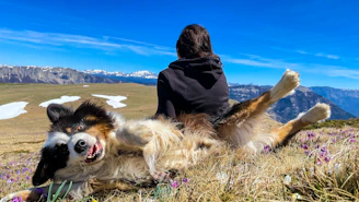 a woman sitting on top of a mountain next to a dog