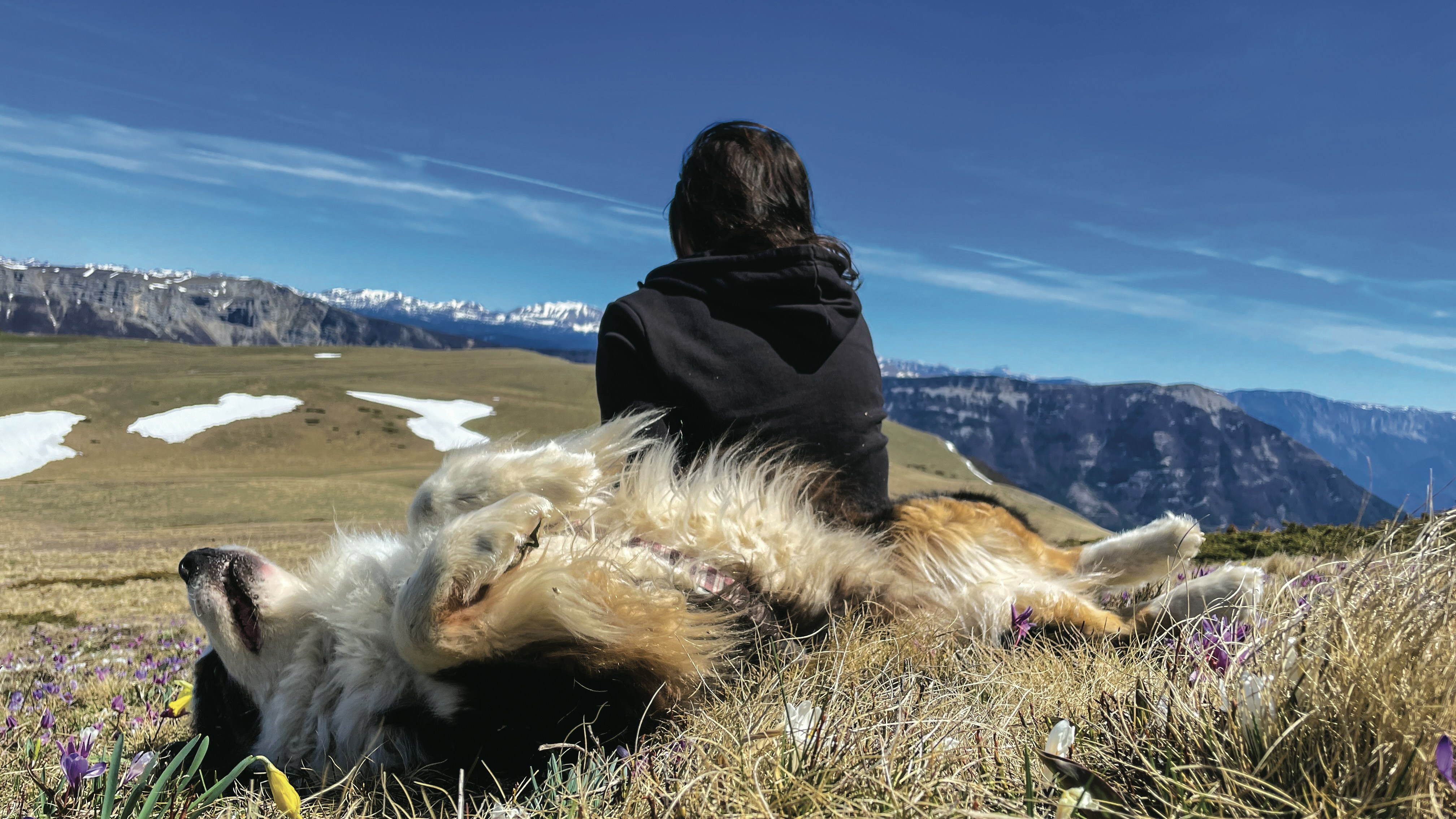 a woman sitting on top of a grass covered hillside next to a dog