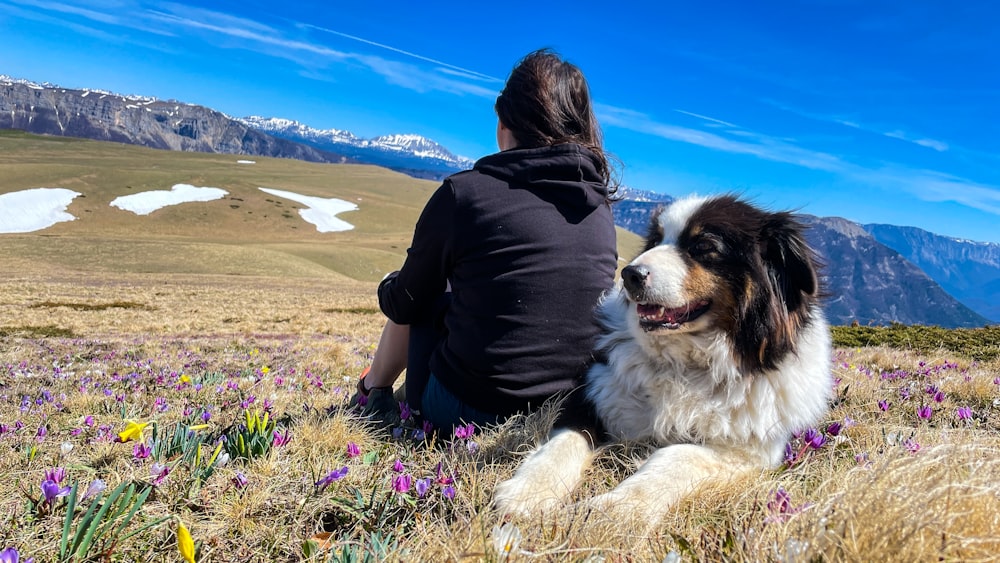 a woman sitting in a field with a dog