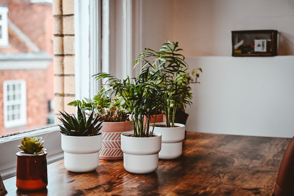 a wooden table topped with three potted plants