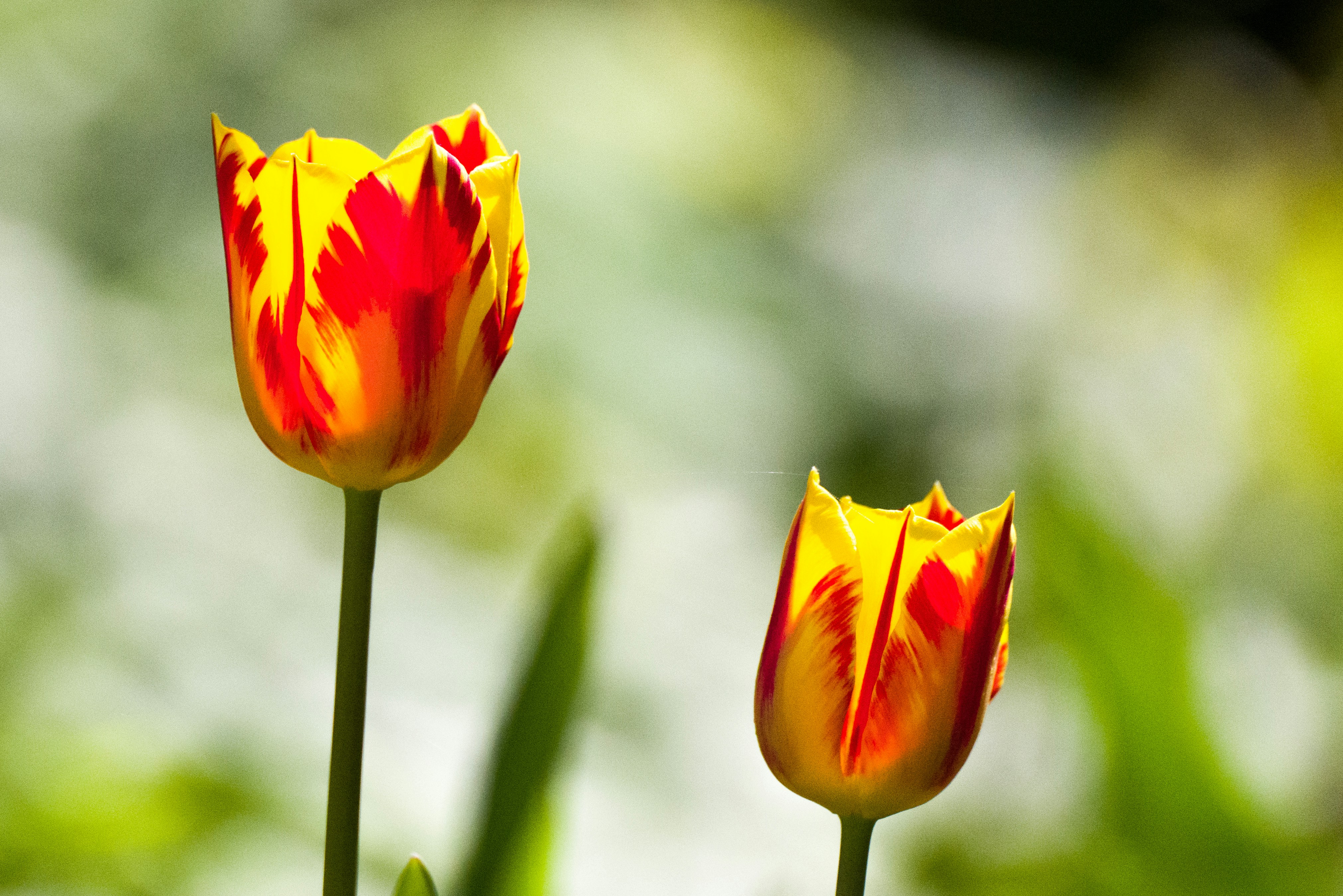 Photo by georgeiermann