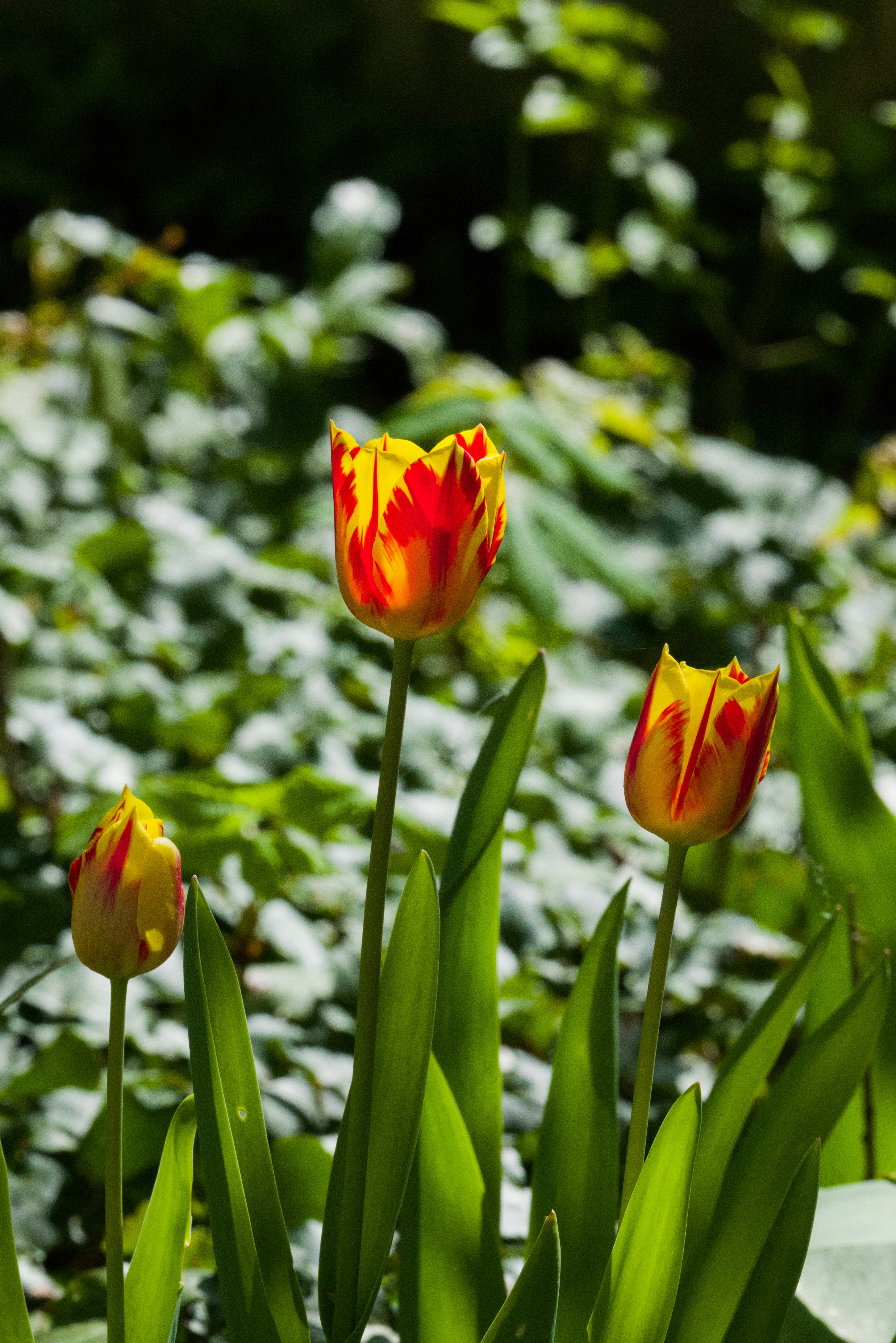 Photo by georgeiermann