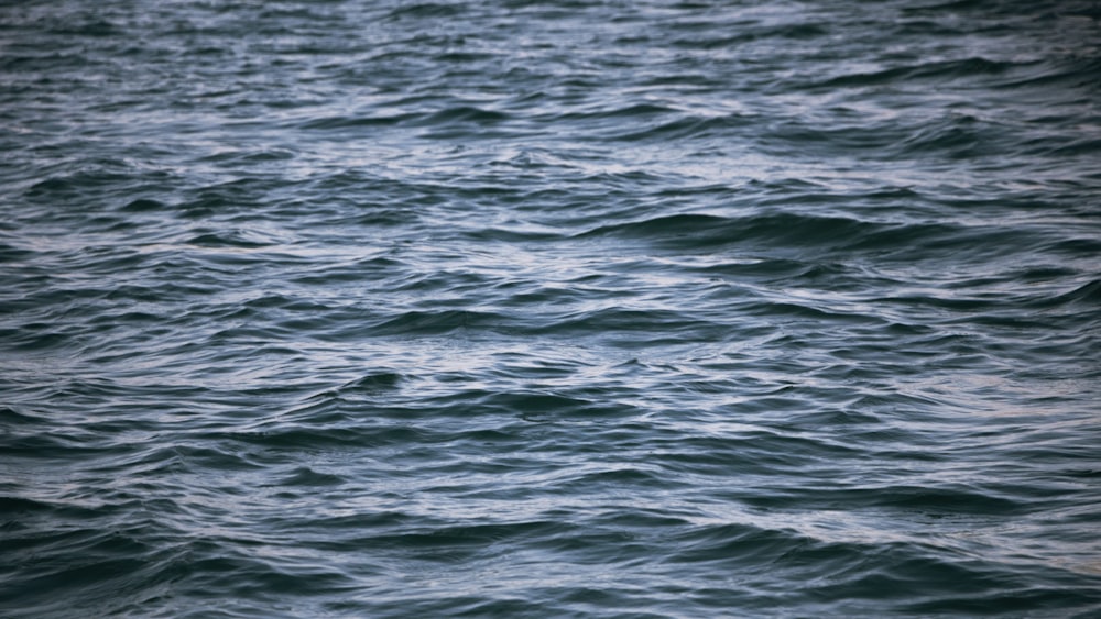 a large body of water with waves on it