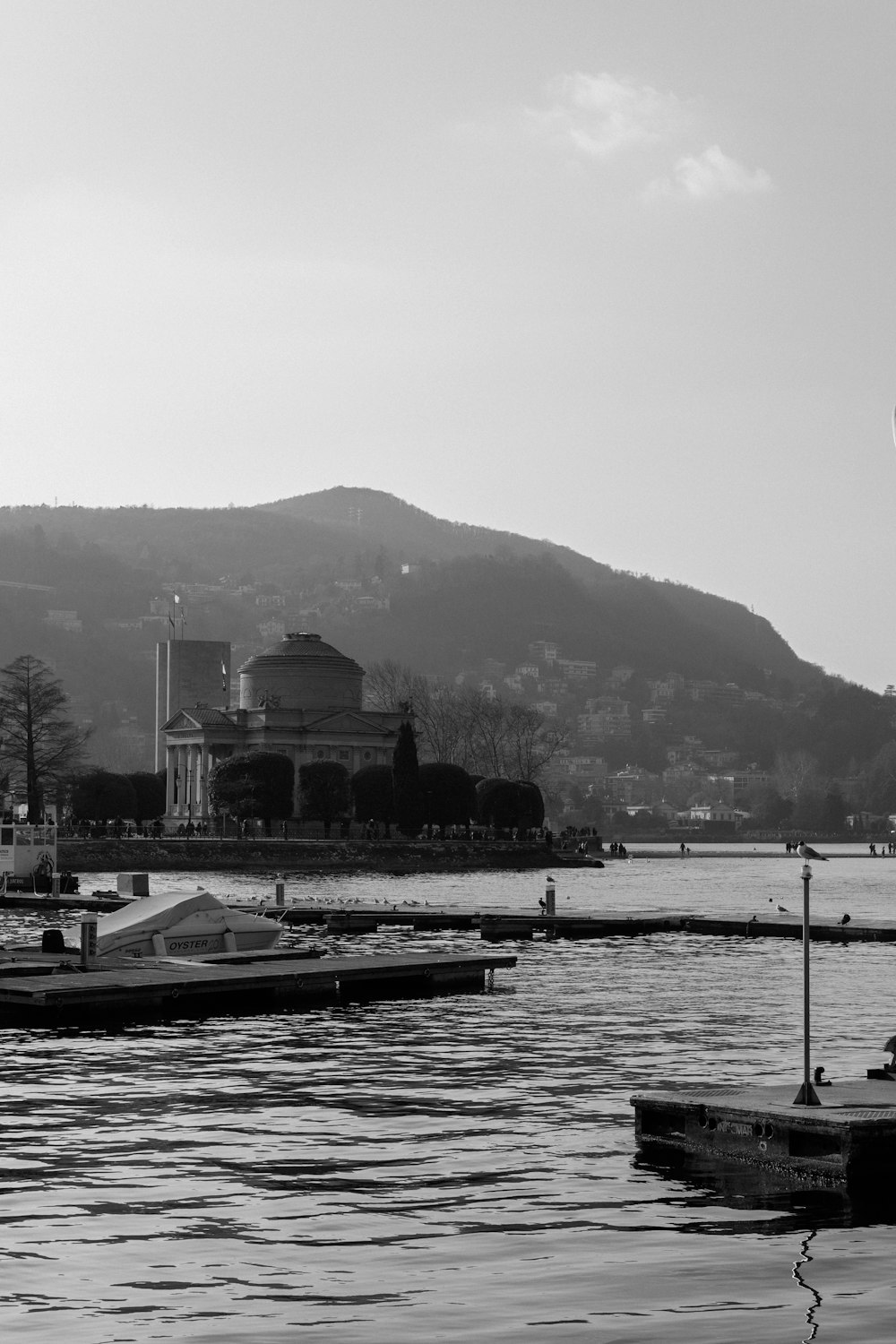 a black and white photo of a boat dock