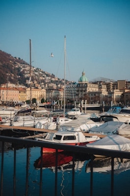 a harbor filled with lots of small boats