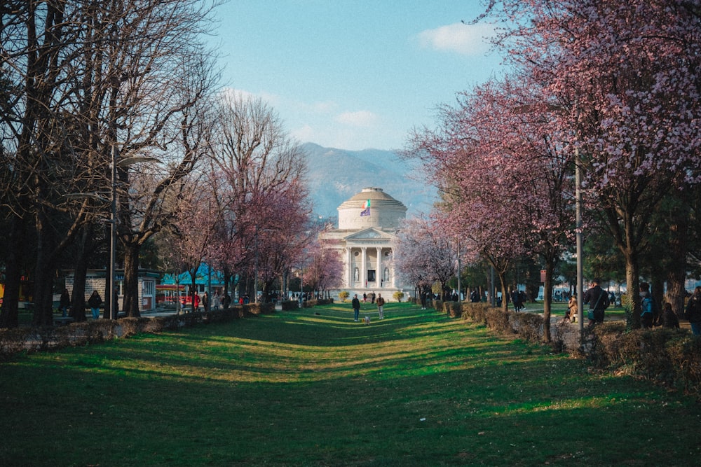 a building with a dome surrounded by trees