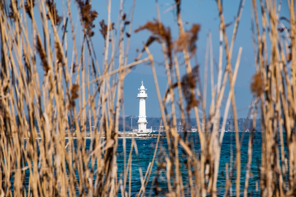a white lighthouse sitting on top of a body of water