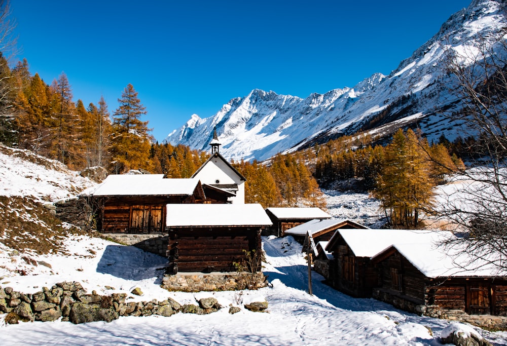 a snowy landscape with a mountain in the background