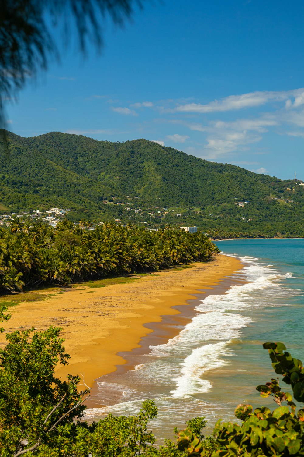 a view of a beach with a mountain in the background