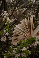A serene scene of a woman reading the Diary of a Broken Butterfly under a blooming tree with soft pink and green hues.