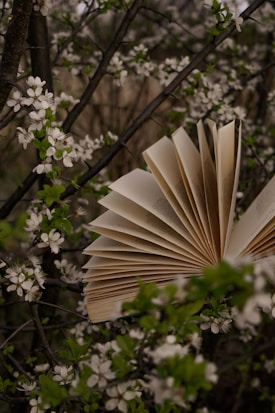 A book with open pages is positioned among branches covered in small white blossoms. The setting is natural, with focus on the interplay between the delicate flowers and the textured pages, creating a serene and contemplative atmosphere.