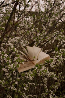 A vibrant illustration of children reading under a blooming tree.