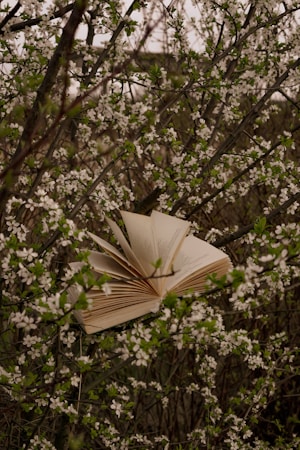 An open book is nestled among the branches of a flowering tree, surrounded by delicate white blossoms and green leaves.