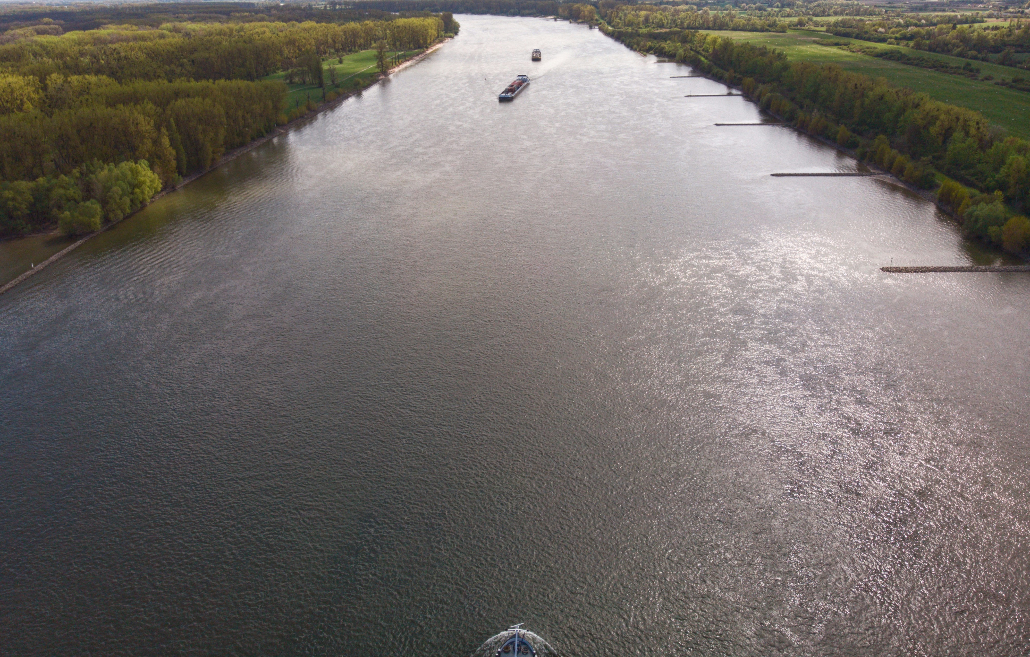a boat traveling down a river next to a forest