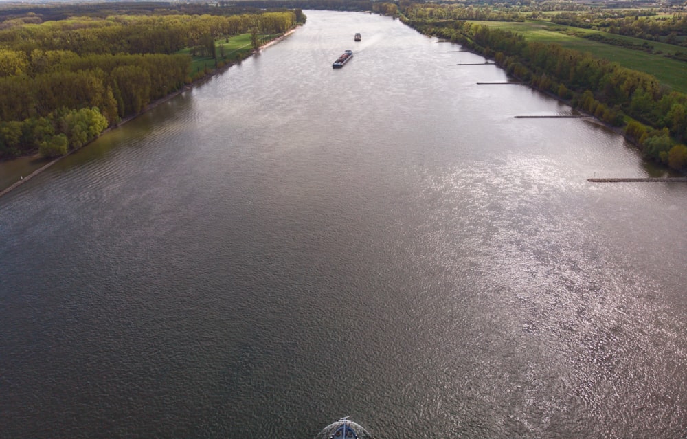 a boat traveling down a river next to a forest