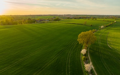 an aerial view of a green field with a lone tree