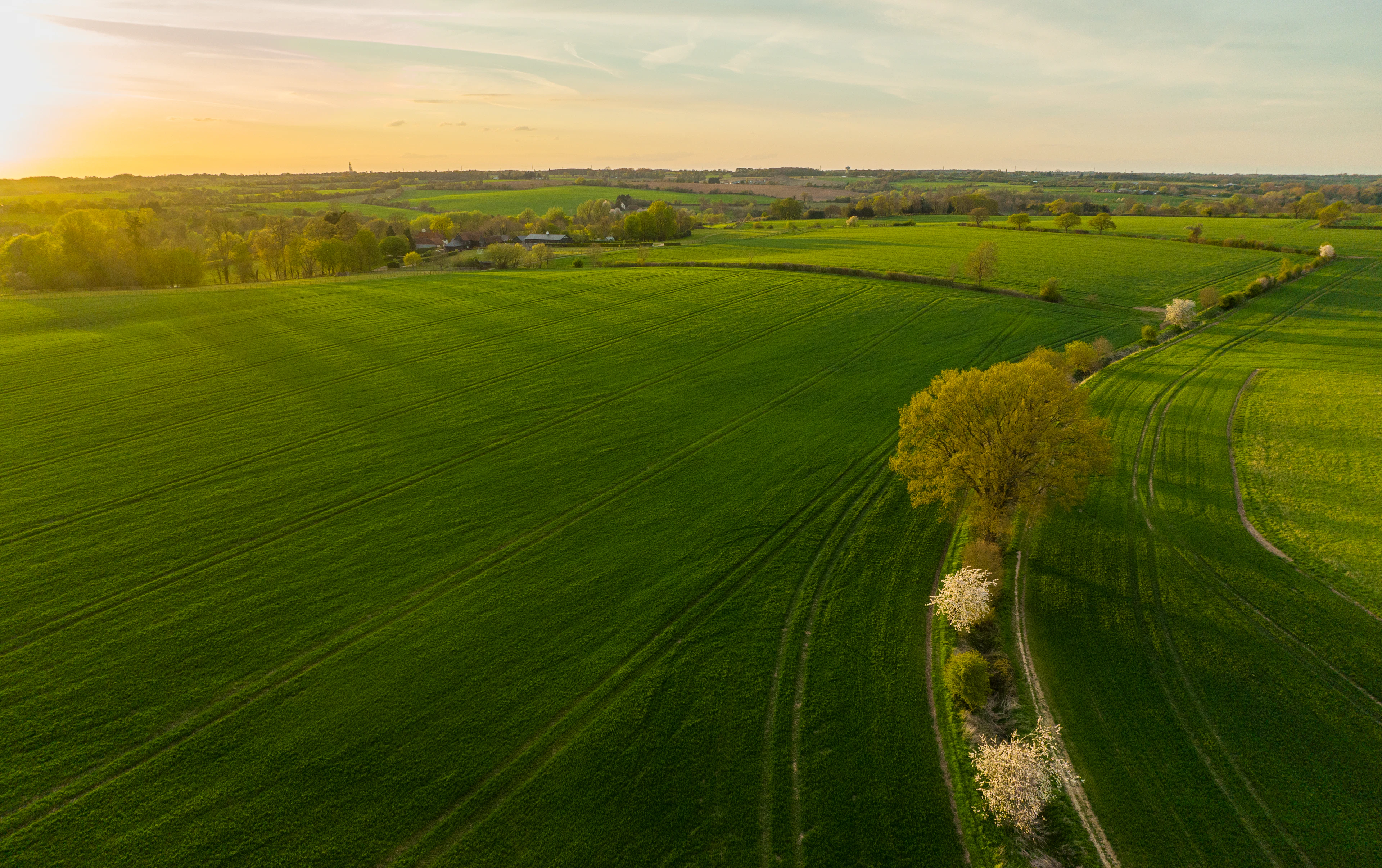 Green fields in the English countryside