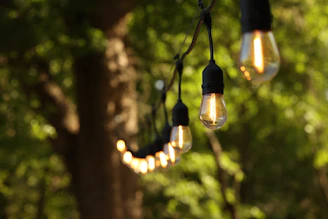 Weatherproof outdoor string lights glowing softly among garden greenery at dusk.