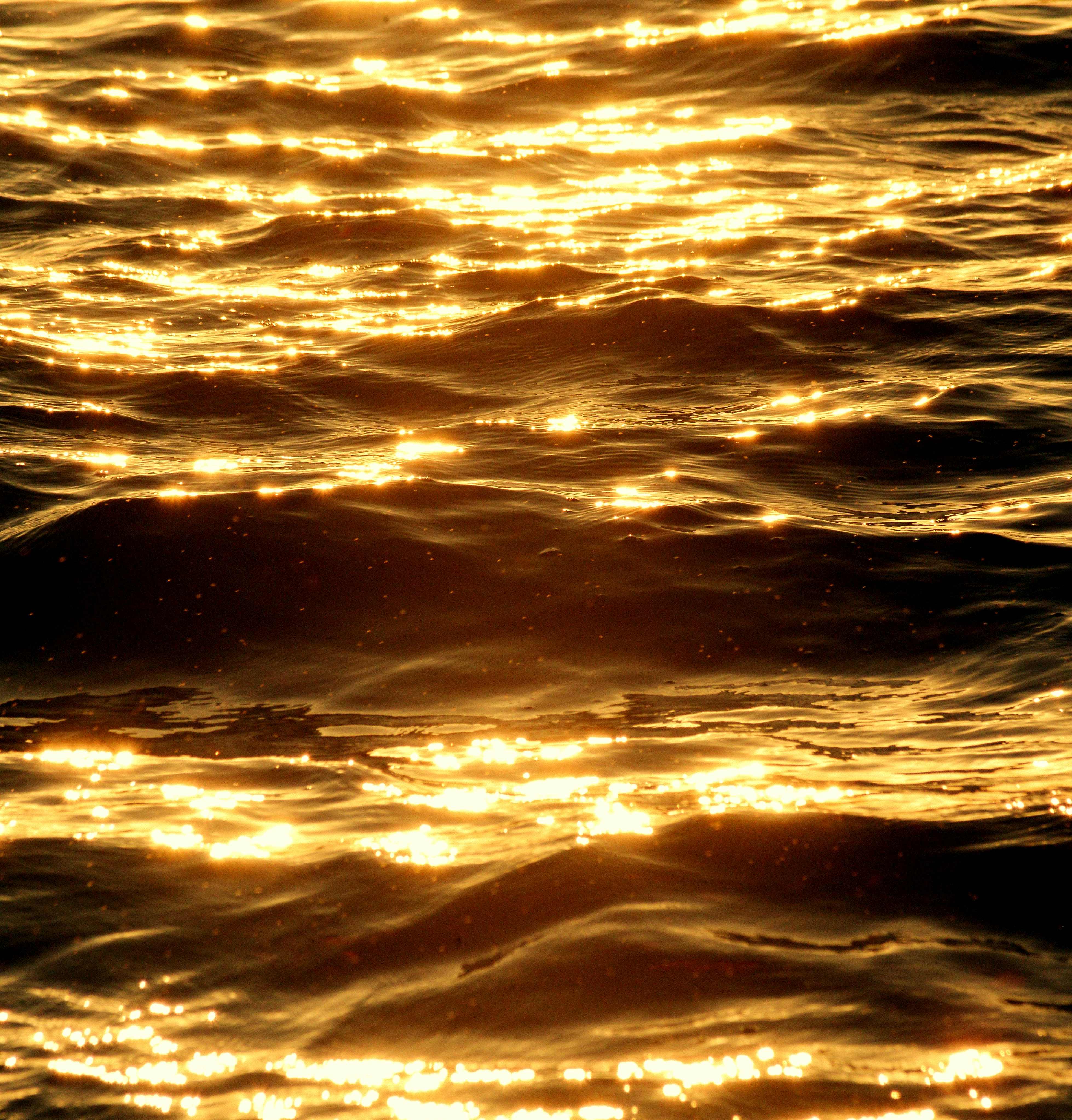 Photo by mishalibrahim