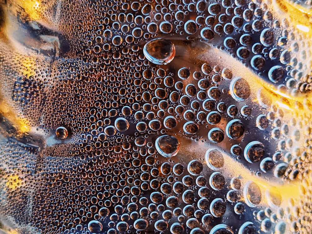 a close up of a bottle of soda