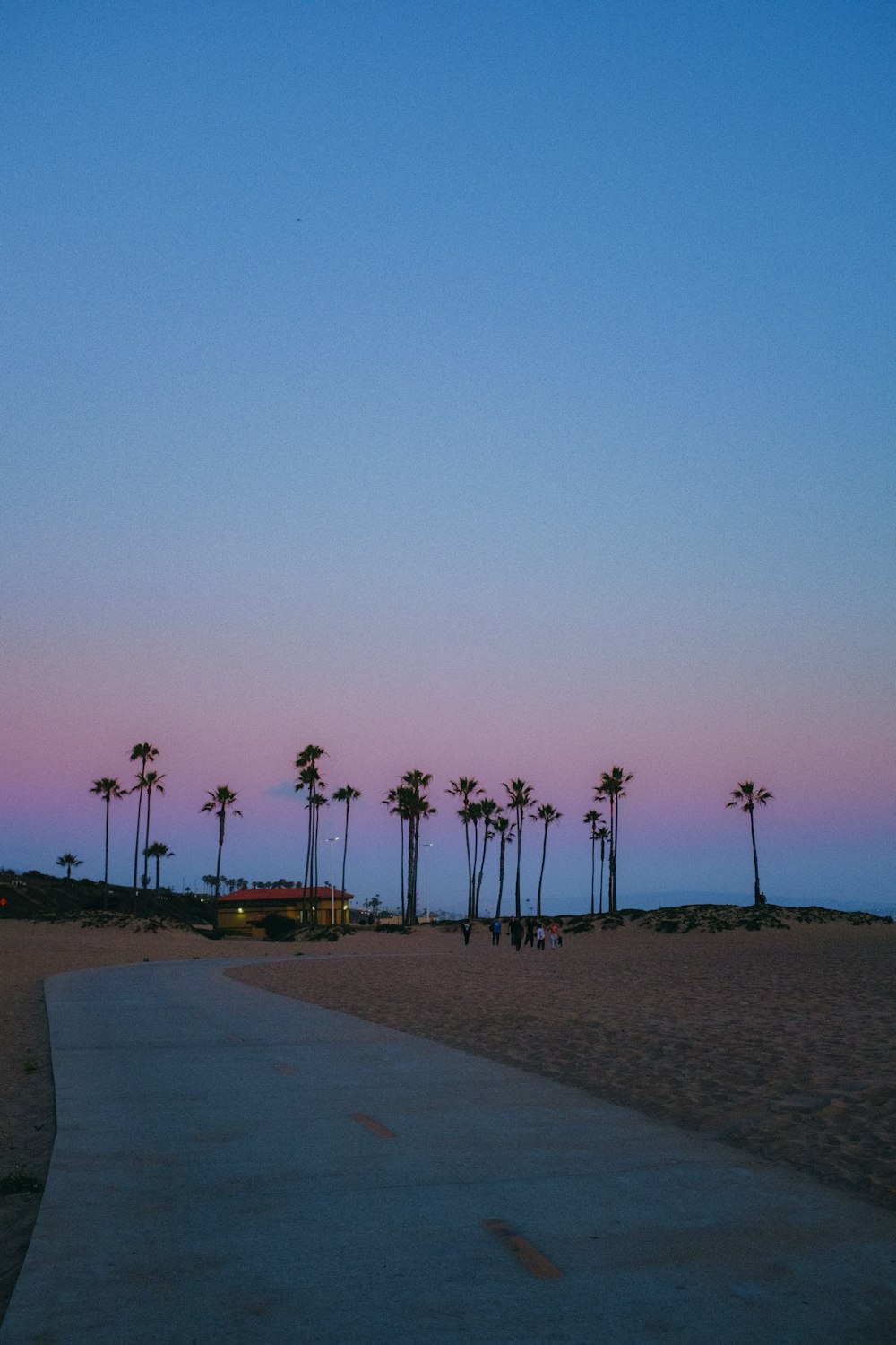 a pathway leading to a beach with palm trees