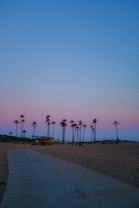 A serene beach scene with tall palm trees lining the horizon. A smooth pathway runs alongside the sandy beach, leading into the distance. The sky is an enchanting blend of pastel pink and blue, suggesting either sunrise or sunset. A group of people can be seen walking, adding a sense of scale and tranquility to the landscape.
