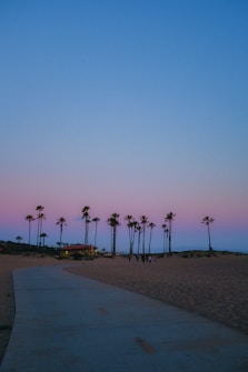 A serene beach scene with tall palm trees lining the horizon. A smooth pathway runs alongside the sandy beach, leading into the distance. The sky is an enchanting blend of pastel pink and blue, suggesting either sunrise or sunset. A group of people can be seen walking, adding a sense of scale and tranquility to the landscape.