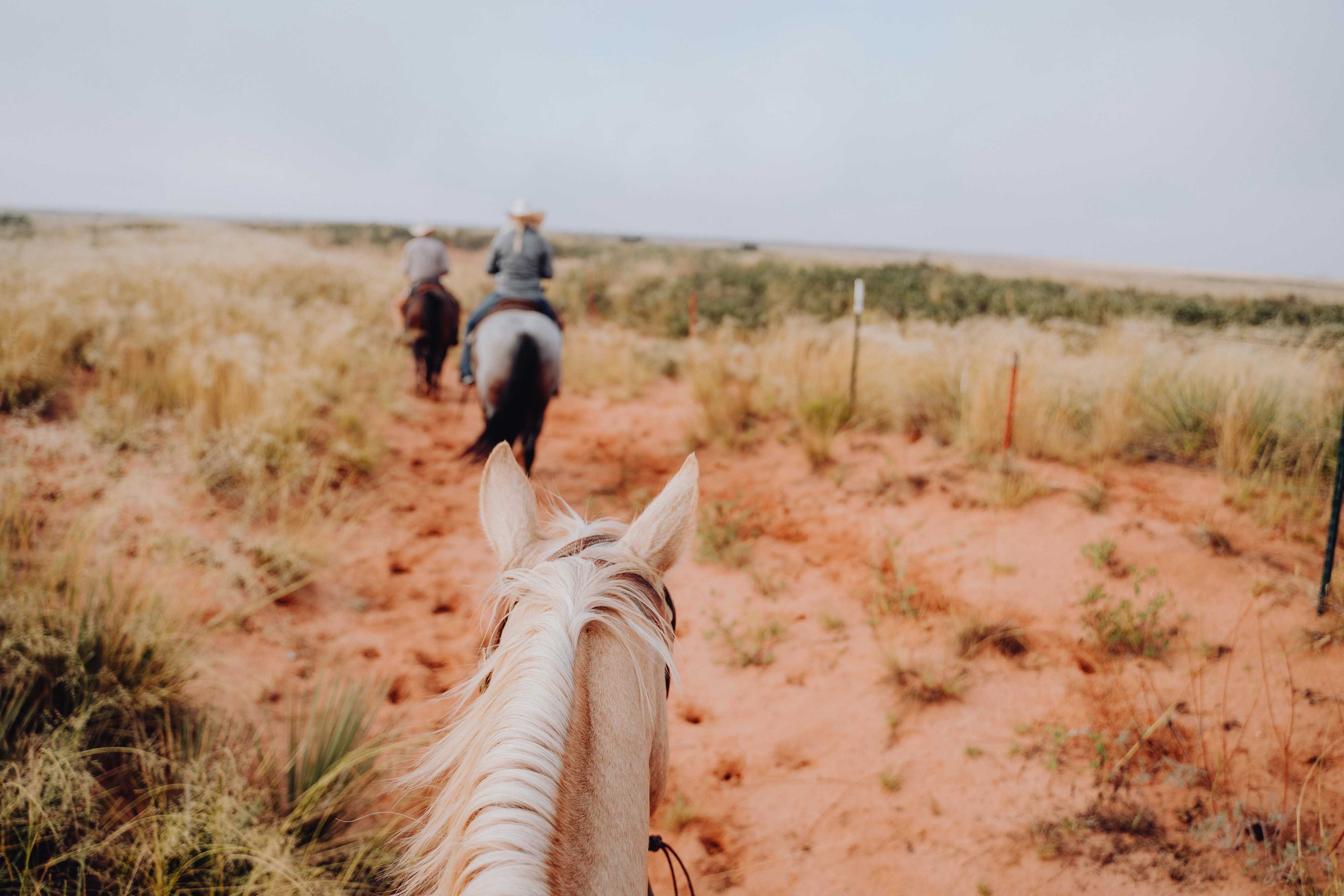 8 Ways to Rediscover the Old West in Scottsdale