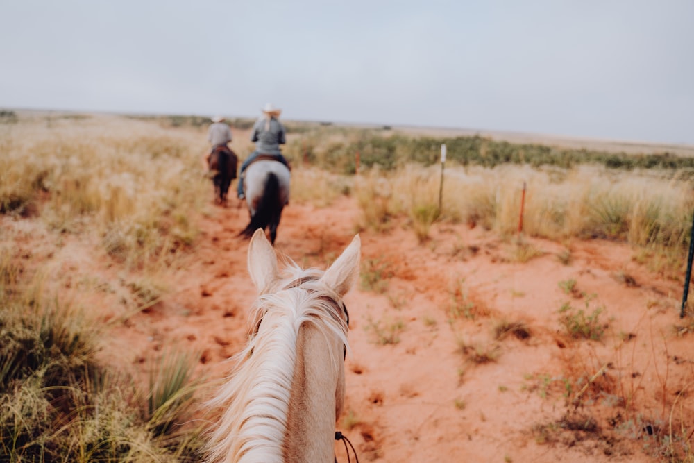 a couple of people riding horses on a dirt road